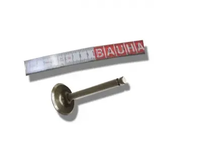 картинка Клапан выпускной